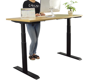 Dual-Motor Height Adjustable Desk