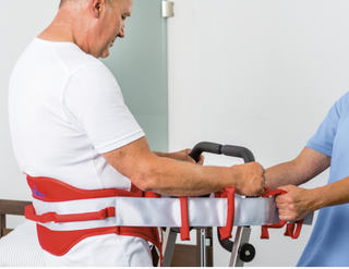 Alpha® Stand-up Transfer Aid Merlin