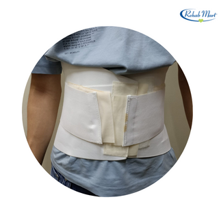 Standard Sacro Lumbar Support