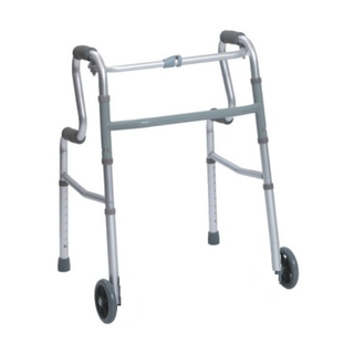 Walker Mobile with Stand Assistant