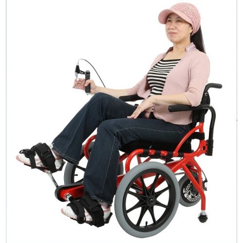 PROFHAND Pedal Wheelchair HM-10